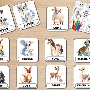 ANIMALES BEBÉS DE DIBUJOS ANIMADOS Edición en inglés, 22 tarjetas flash Tarjetas de nomenclatura preescolar Pdf imprimible + Un libro electrónico para colorear de animales gratis