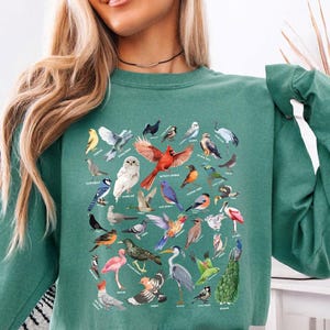 May include: A teal green sweatshirt featuring a colorful bird chart design. The graphic includes various bird illustrations with their names. The long-sleeved top is paired with denim shorts.