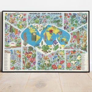 Welt der Blumen Karte Print, Illustrierte Karte, Tierkarte, bildliche Karte, Posterdruck, Kartenposter