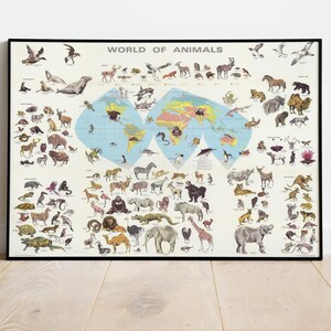 Welt der Tiere Karte Print, illustrierte Karte, Tierkarte, bildliche Karte, Posterdruck, Kartenposter