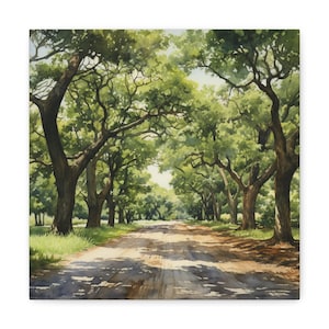 Southern Oak Trees Canvas Print