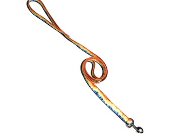 6' Dog Leash- Retro Mountains