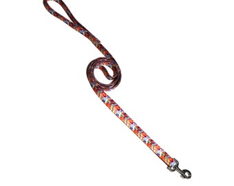 6' Dog Leash- Electric Chevron