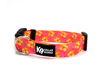 1" Dog Collar- Hibiscus