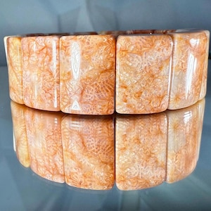 Silicified Coral Fossil Bracelet: Rare Petoskey Stone, Elastic Agate