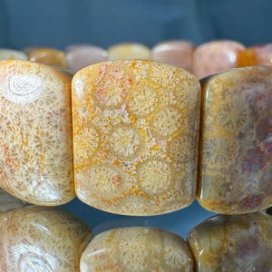 Silicified Coral Fossil Bracelet: Natural Peony Pattern Agate, Elastic Fit