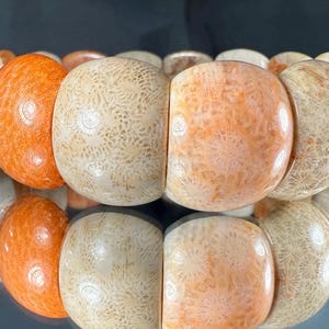 Silicified Coral Fossil Bracelet: Natural Agate, Organic Shapes