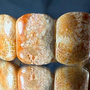 Petoskey Stone Bracelet: Silicified Coral Fossil Gemstone Bangle