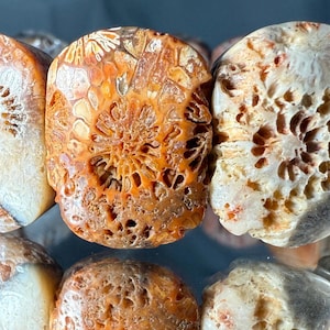 Unique Natural Petoskey Stone/Silicified Coral Fossil Specimen  Bracelet – Bone-Like Coral Blossom with Mysterious Elegance