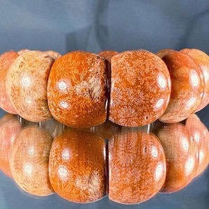 Silicified Coral Fossil Bracelet: Natural Agate Gemstone, Elastic Fit (7-8 inch Wrist)