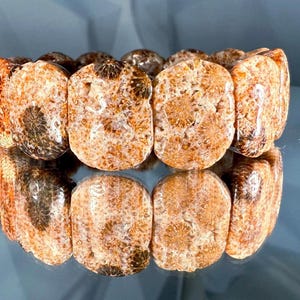 Rare Silicified Coral Fossil Agate Bracelet: Caramel Macchiato Floral