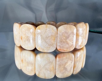 Silicified Coral Fossil Bracelet: Natural Snowflake Agate, Elastic Band (7-8 inch)