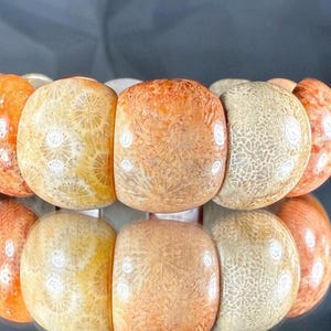 Petoskey Stone Bracelet: Silicified Coral Fossil Gemstone Bangle
