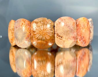 Natural Flower Pattern Specimen Stone Bracelet: Silicified Coral Fossil Gemstone Healing Bangle