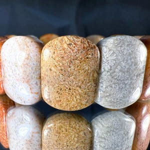 Silicified Coral Fossil Bracelet: Natural Agate Gemstone, Elastic Band