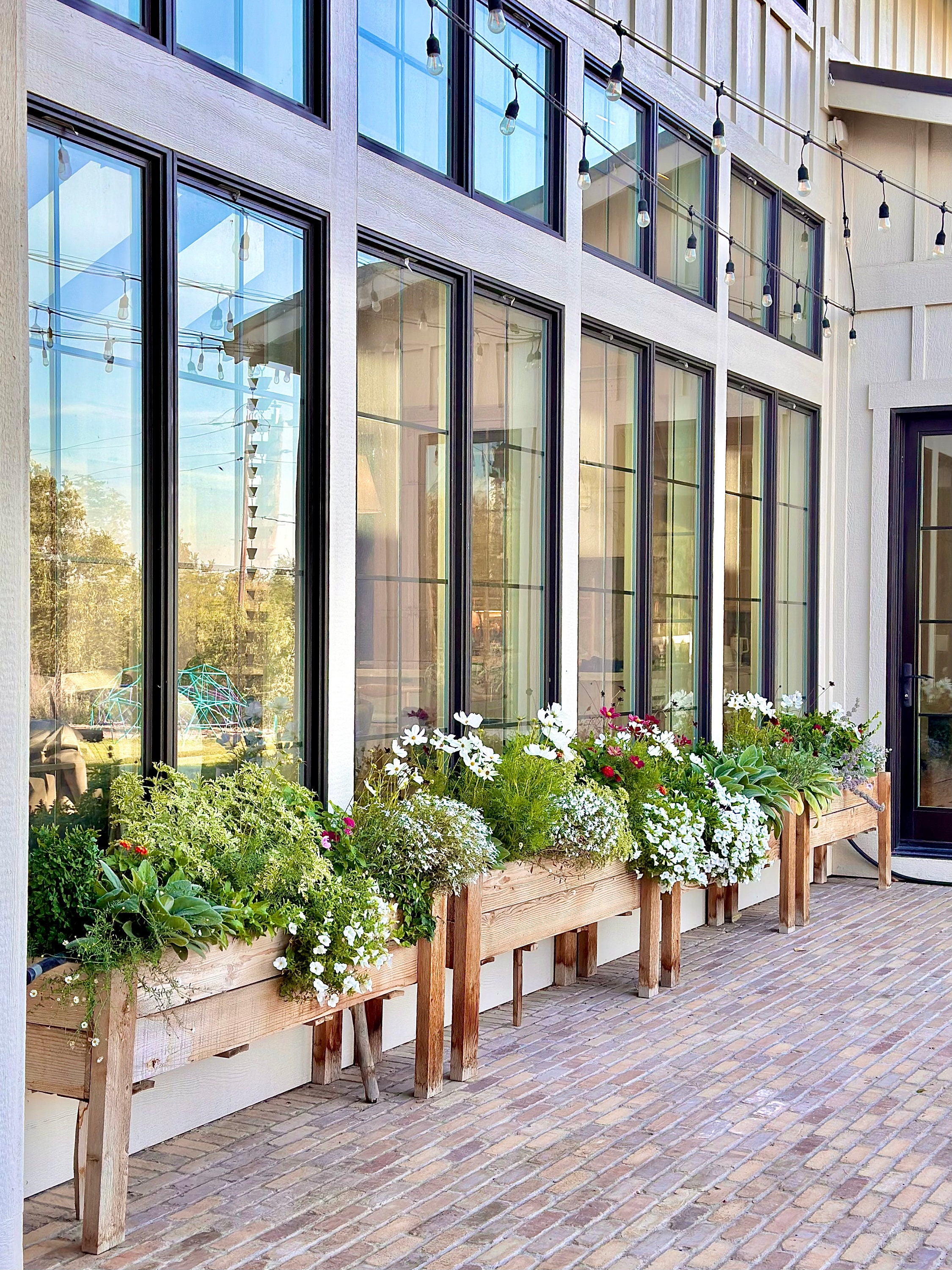 WOODEN PLANTER - Customizable no-damage window box or container garden! Perfect option for patio/porch or small yard.