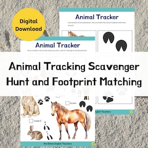 Animal Track Scavenger Hunt | Animal Footprints | Animal Matching Flashcards | Printable for Kids | Digital Download