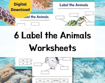 Label the Animals Worksheets | Animal Anatomy for Preschoolers | Worksheets for Kids | Animal Printable | Printables for Kids