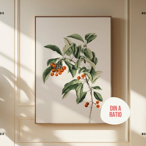 K&ouml;nnte beinhalten: Ein gerahmter botanischer Druck eines Zweigs mit gr&uuml;nen Bl&auml;ttern und orangefarbenen Beeren. Der Druck h&auml;ngt an einer wei&szlig;en Wand mit einem hellbraunen Holzrahmen. Der Text "DIN A RATIO" steht auf einem wei&szlig;en Kreis in der unteren rechten Ecke des Bildes.