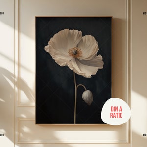 K&ouml;nnte beinhalten: Ein gerahmter Druck einer wei&szlig;en Mohnblume vor einem dunkelblauen Hintergrund. Der Druck ist in einem goldenen Rahmen und hat ein wei&szlig;es Etikett mit dem Text "DIN A RATIO".