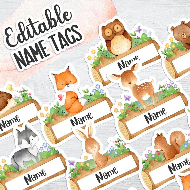 Woodland Classroom Theme - Etsy