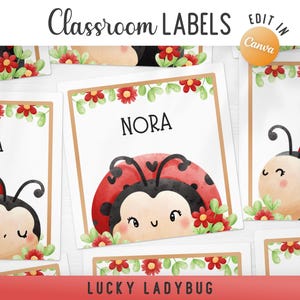 Puede incluir: Etiquetas para el aula con ilustraciones de mariquitas. Cada etiqueta muestra un nombre, como "Nora" y "Sofia", y un diseño de mariquita. Las etiquetas están adornadas con flores rojas y hojas verdes. Las palabras "Lucky Ladybug" están en la parte inferior.