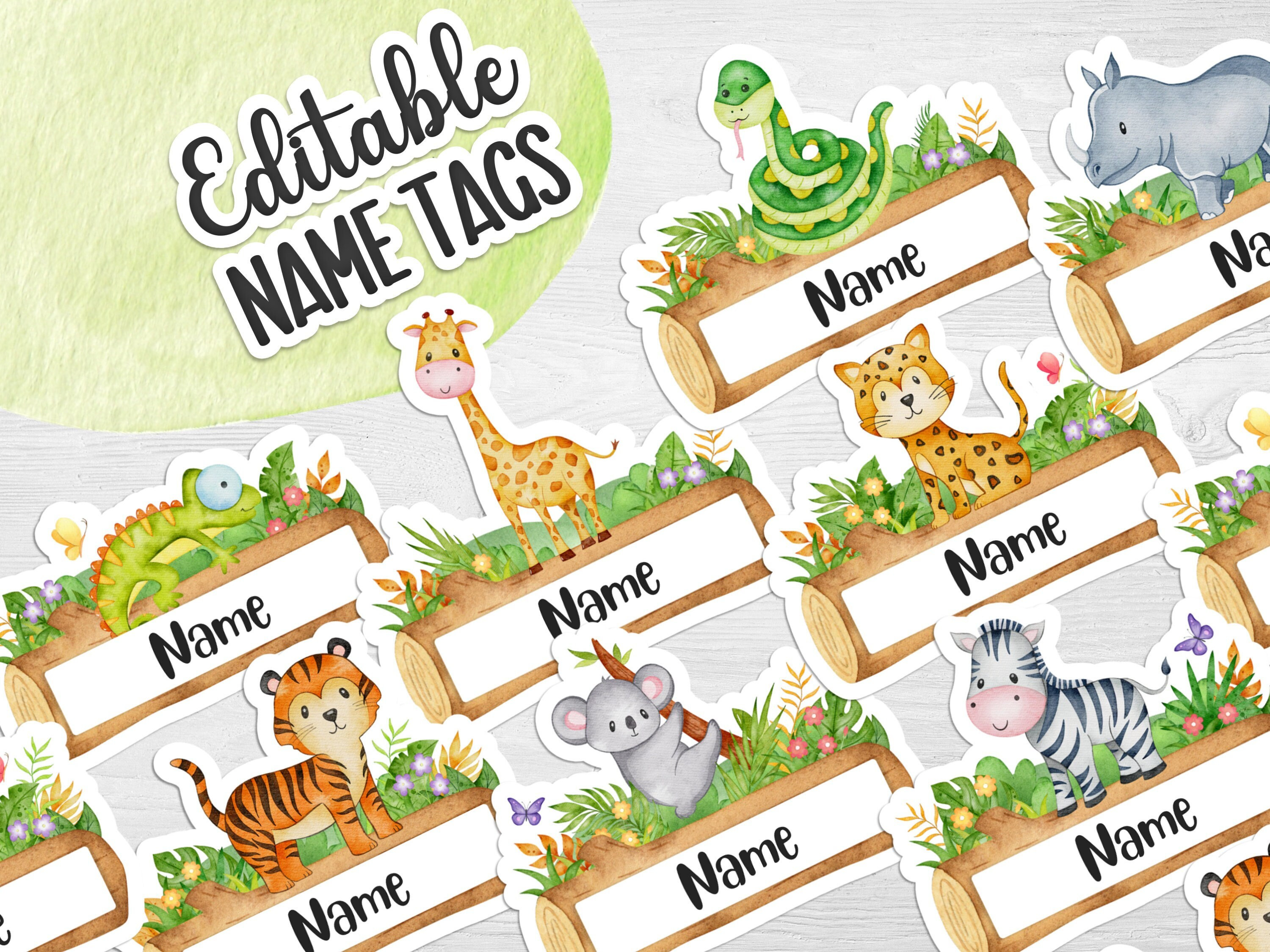 Editable Jungle Classroom Labels | Wild Animals