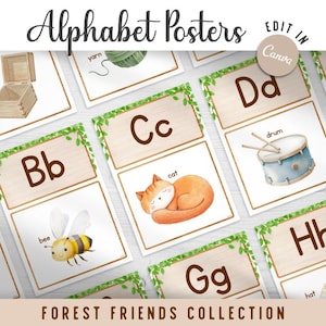May include: Alphabet posters with illustrations for each letter. The "B" card shows a bee, the "C" card shows a cat, and the "D" card shows a drum. The words "Forest Friends Collection" are at the bottom of the image.