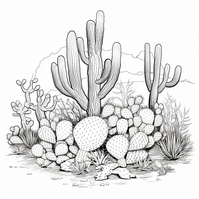 50 Page Floral Cactus & Succulent Coloring Book, Printable PDF ...