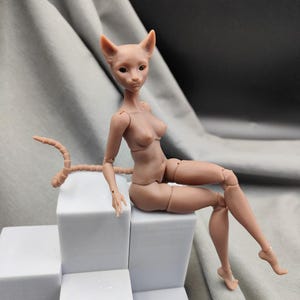 CatWoman bjd 1/8, 1/12, 1/16, BJD brown Cat Doll for order, choose color