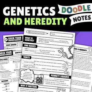 遺伝学と遺伝に関する落書きノート | パネット図 形質 対立遺伝子 中学校 生命科学ワークシート 6年生 7年生 8年生 ホームスクール生物学
