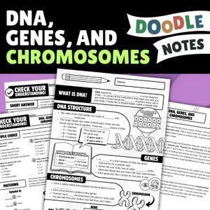 DNA遺伝子染色体落書きノートアクティビティ｜中学校生物学科学学習ガイドワークシート7年生・8年生ホームスクール教師向けリソース