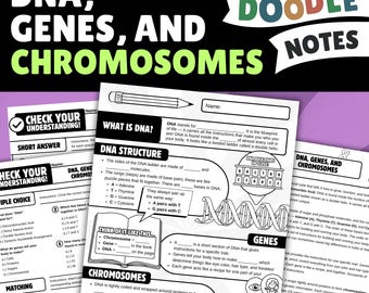 DNA Genes Chromosomes Doodle Notes Activity | Middle School Biology Science Study Guide Worksheet 7th 8th Grade Homeschool Teacher Resource