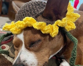 Crocheted Sunflower Dog Hat