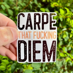 Carpe diem//Geniet van de dag//Carpe die verdomde diem Geniet van de dag Expliciete sticker laptop sticker indachtig vinyl sticker