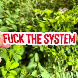 Fuck the System Sticker Laptop Decal Anti Links Rechts Strijd Kapitalisme Activisme Vinyl Decal Einde Politiegeweld