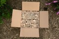 Mini Firewood - Kiln Dried Hardwood for Solo Stove 13+ lbs