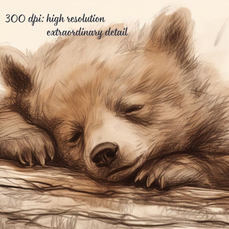 Bear Cub Sleeping Pencil Sketch, Cute Baby Bear on a Log Sepia Drawing ...