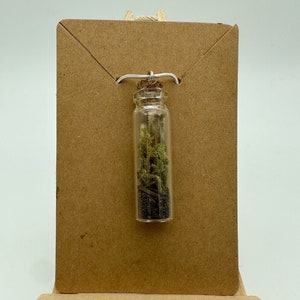 Moss Terrarium Necklace