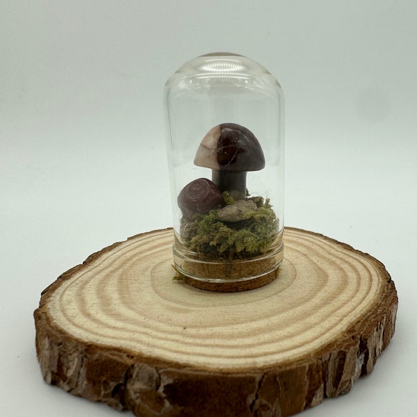 Crystal Mushroom Terrarium