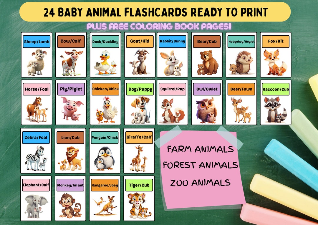 24 Printable Montessori Animal Flash Cards for Kids FREE COLORING BOOK ...