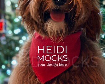 Red dog bandana mockup, red bandana mock up, pet bandana mocks, dog mockup, golden doodle mockup, lifestyle mock, dog scarf mock, dog collar