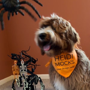 Halloween dog bandana mockup,  Halloween mock up, pet bandana mocks, dog orange bandana mockup, golden doodle mockup, pet mockup, pet scarf