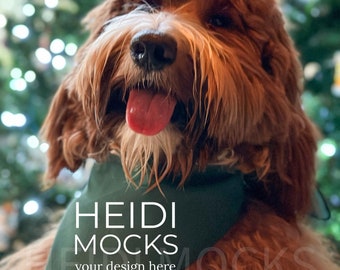 Green dog bandana mockup, forest green bandana mock up, pet bandana mocks, dog mockup, golden doodle mockup, lifestyle mock, dog scarf mock