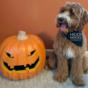 Halloween dog bandana mockup,  Halloween mock up, pet bandana mocks, dog black bandana mockup, golden doodle mockup, pet mockup, pet scarf