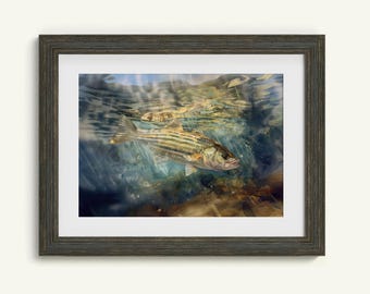 Striped Bass Fishing Digital Art Bundle Printable Digital Download Wall Art Outdoors Aesthetic Décor Fly Fishing PNG Country Décor Bass
