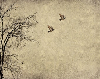Flying Birds - Mint Decoupage Paper