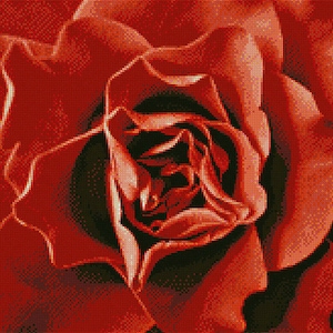 Red Rose Cross-Stitch Embroidery Pattern PDF Download