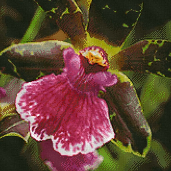 Zygopetalum Orchid Cross-Stitch Embroidery Pattern PDF Download