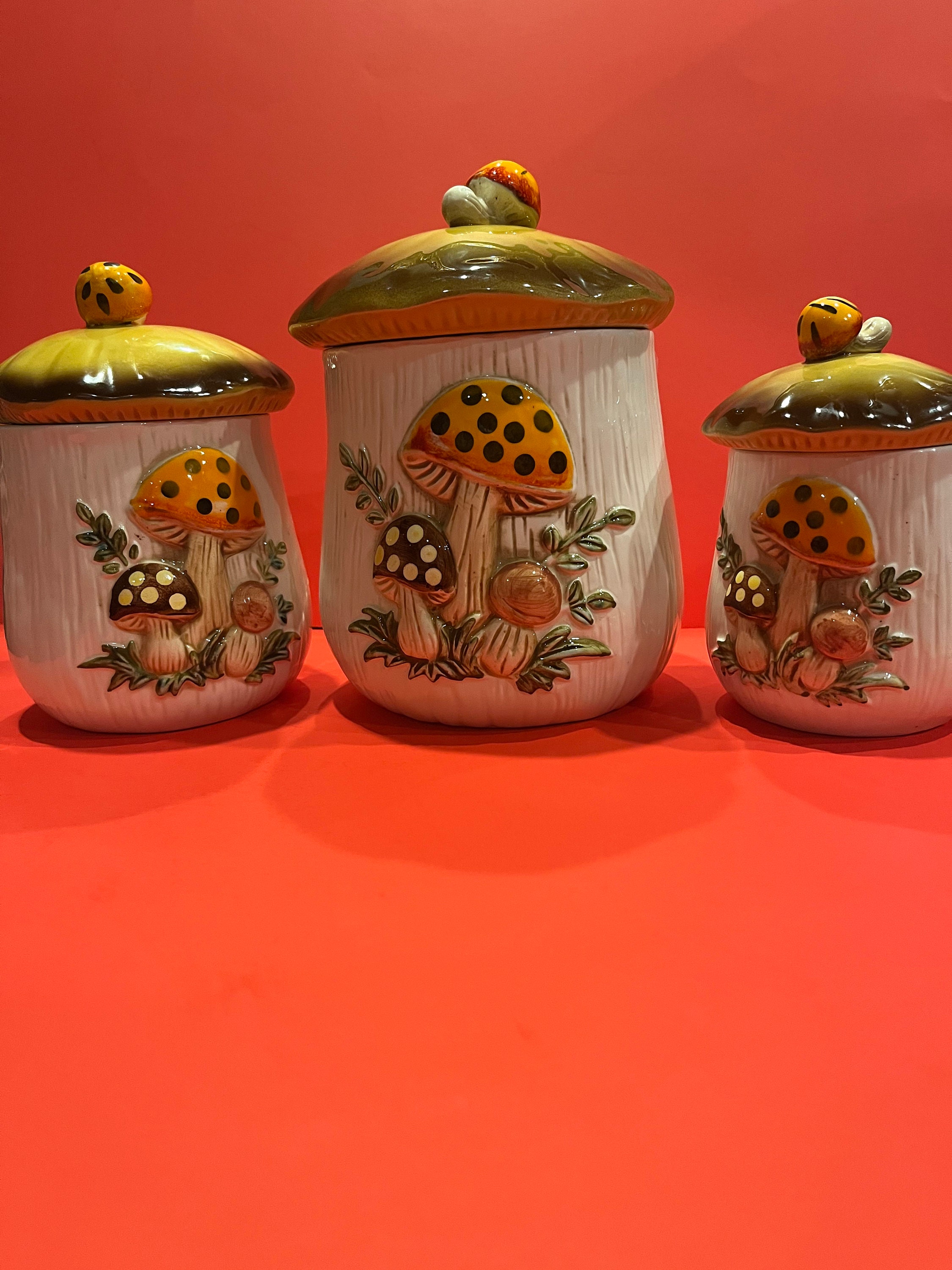 Eghver Mushroom Jar Cute Jars with Lids Canister, Kitchen Fairy Décor  Cottagecore Accessories Mushroom Gifts